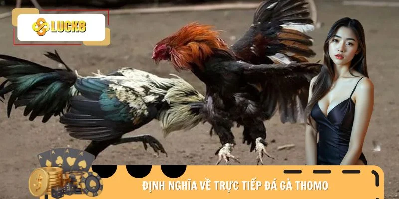 Định nghĩa về trực tiếp đá gà Thomo